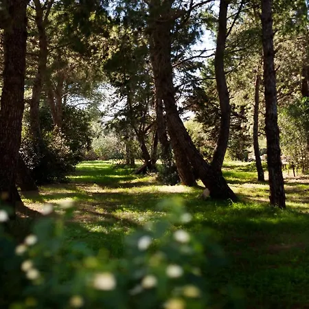 Masseria Borgo Mortella B&B 4*