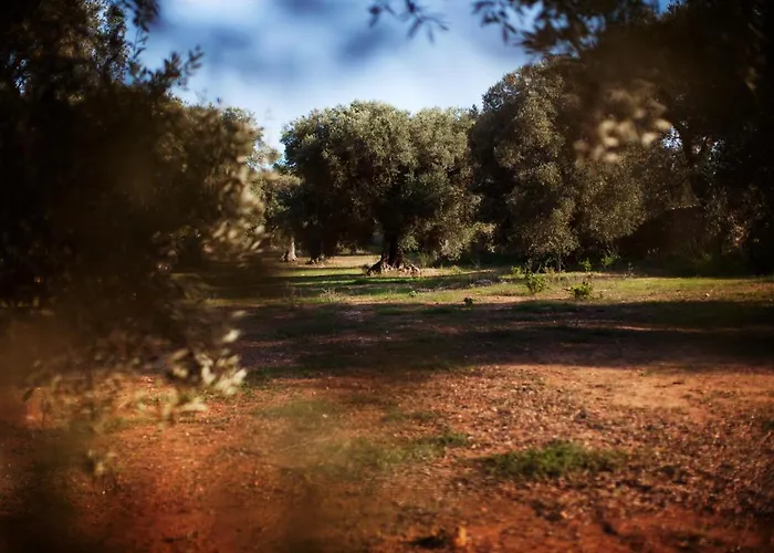 Bed & Breakfast Masseria Borgo Mortella