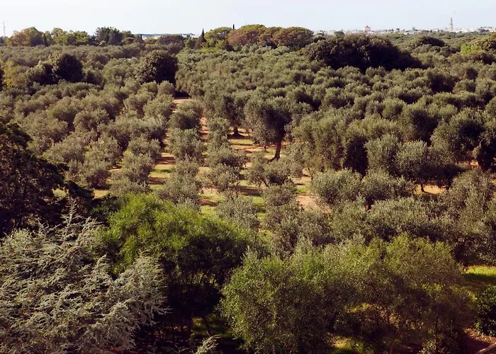 Masseria Borgo Mortella 4* לצ'ה