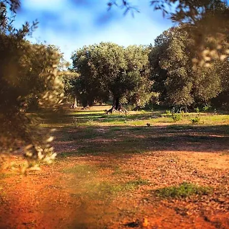 Masseria Borgo Mortella Lecce