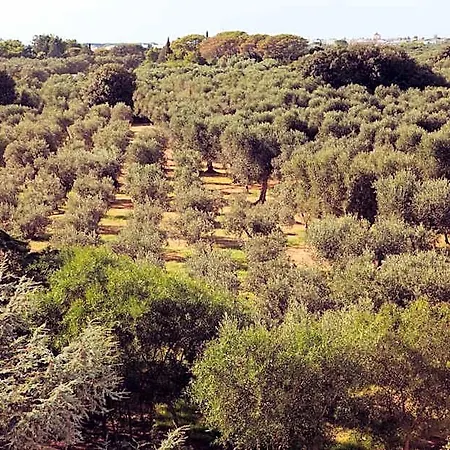 Panzió Masseria Borgo Mortella 4*