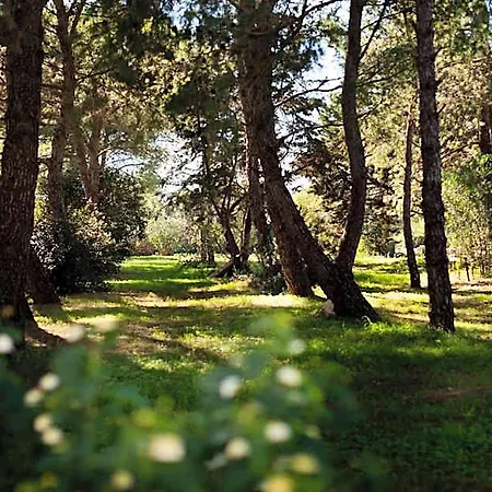 Nocleg ze śniadaniem Masseria Borgo Mortella Lecce