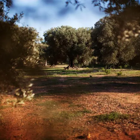 Bed & Breakfast Masseria Borgo Mortella