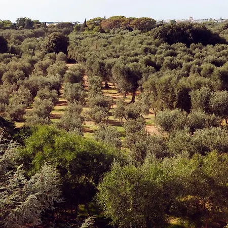 Masseria Borgo Mortella 4* レッチェ