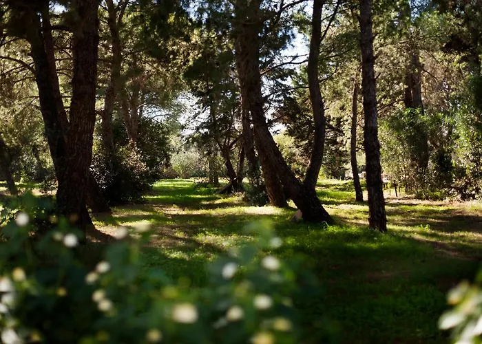 Masseria Borgo Mortella Bed & Breakfast 4*